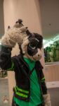 [YES] Jay the Furred Dragon Partial by Astris Fursuits